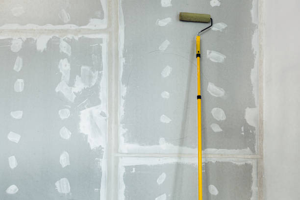  Ethete, WY Mold Removal Pros
