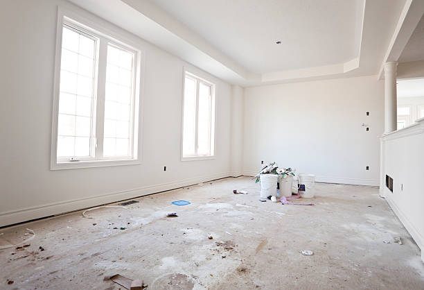 Best Basement Mold Removal  in Ethete, WY