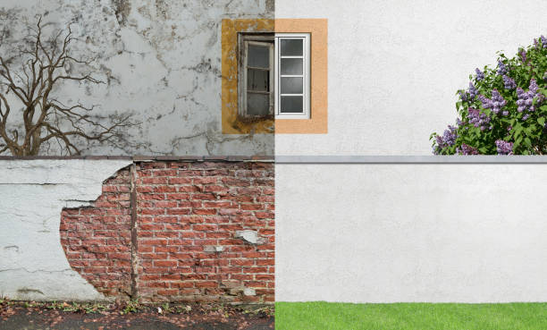 Best Mold Prevention Services  in Ethete, WY