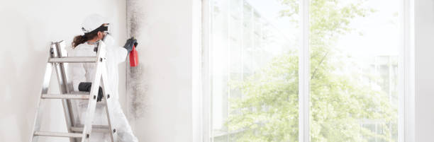 Best Commercial Mold Inspection  in Ethete, WY